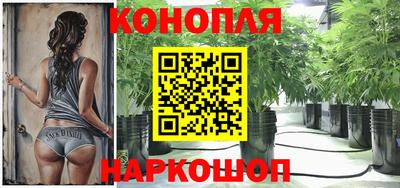 молекула духа Будённовск