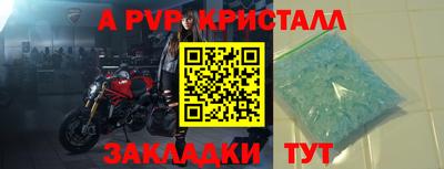 молекула духа Будённовск